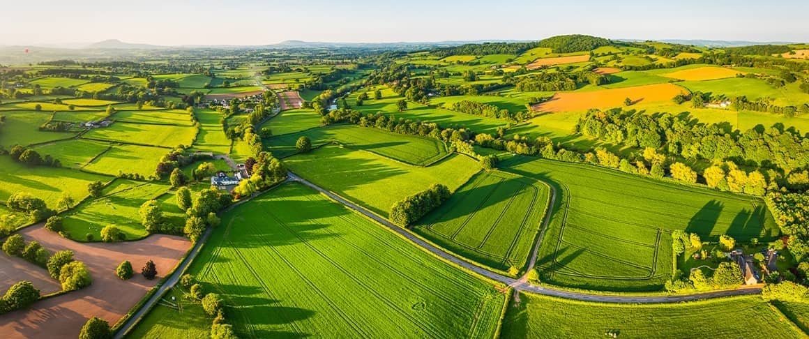 Drone aerial footage of an expansive green space divided into various lots.