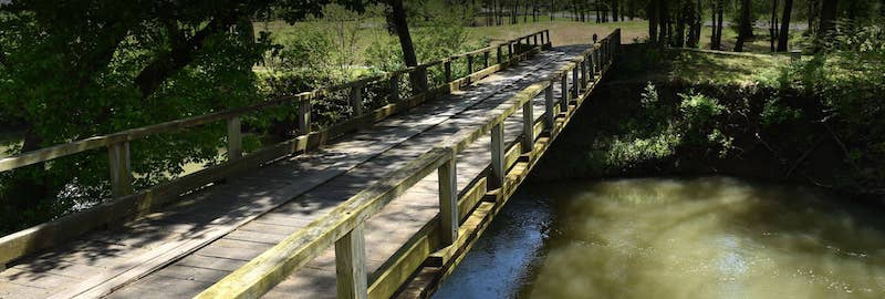 Wooded trail bridge in Spring Hill, TN