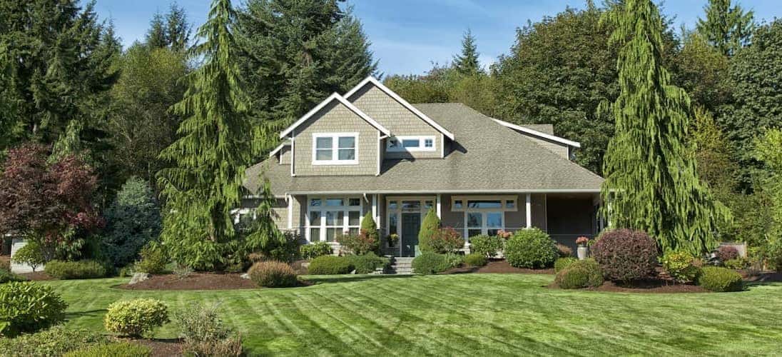 House with fresh-cut grass.