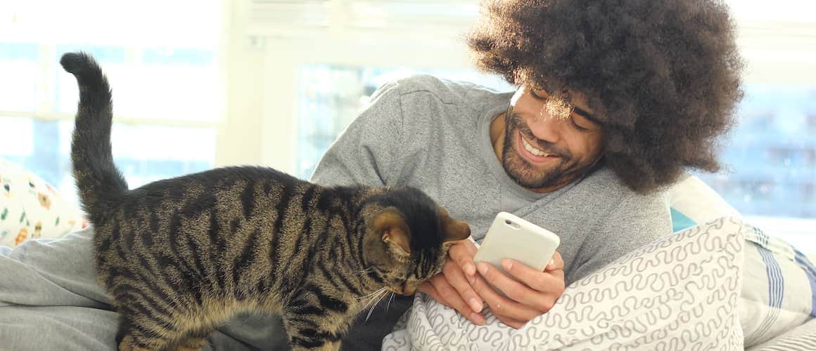 Black Man Laying Down With Cat On His Phone