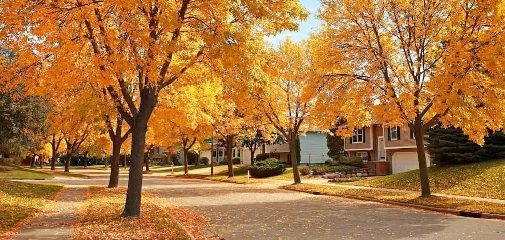 Residential street in autumn.