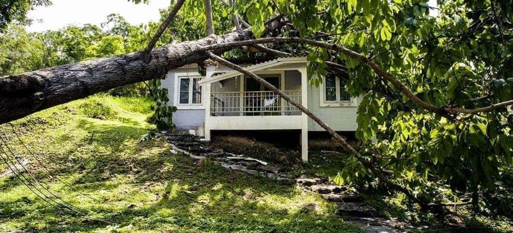 fallen tree on top of house