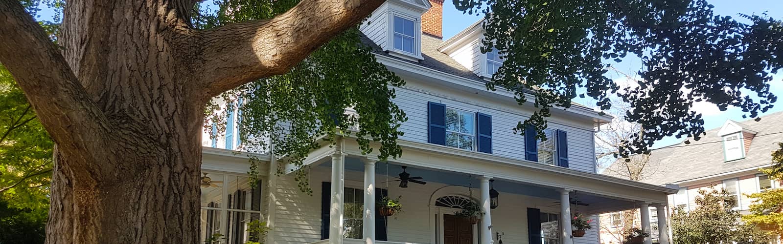 House With Big Porch And Mature Trees