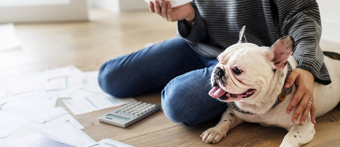 woman with french bulldog