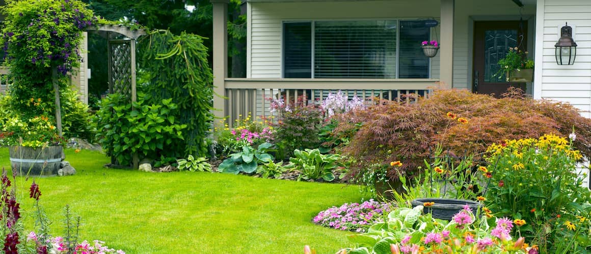 Yard in front of home with flowers.