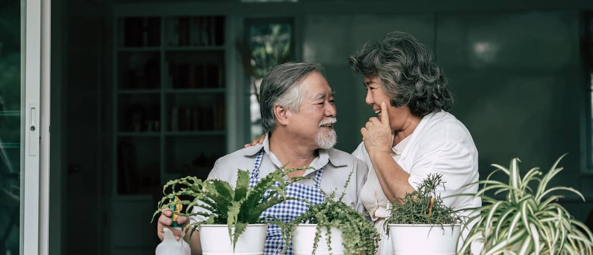 Older couple happy together watering their houseplants.