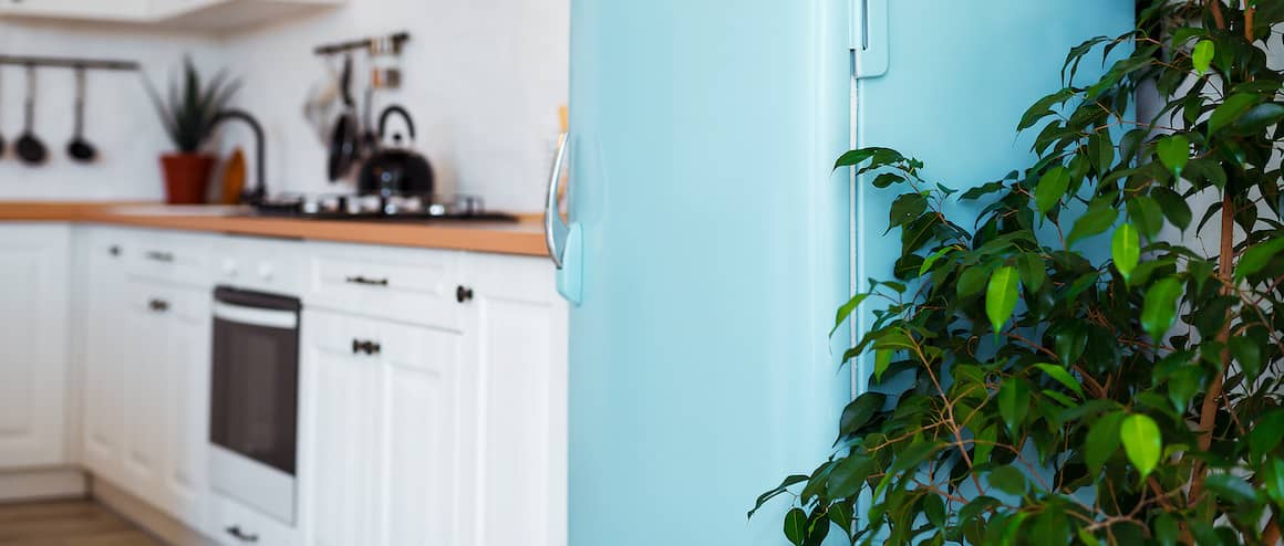 Kitchen With Vintage Baby Blue Fridge