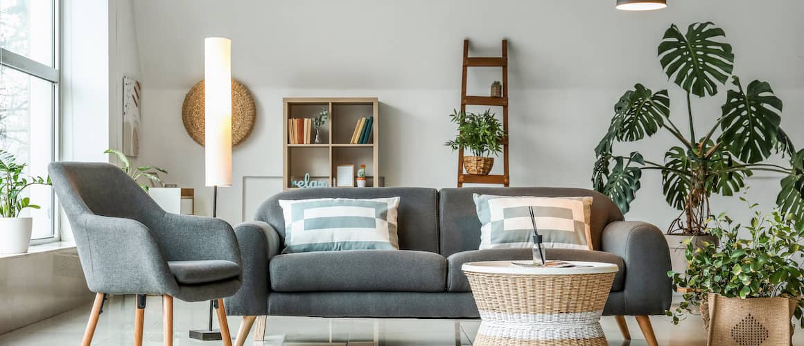 Living room with grey furniture and plants.